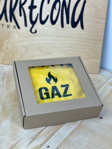gaz 2.jpeg