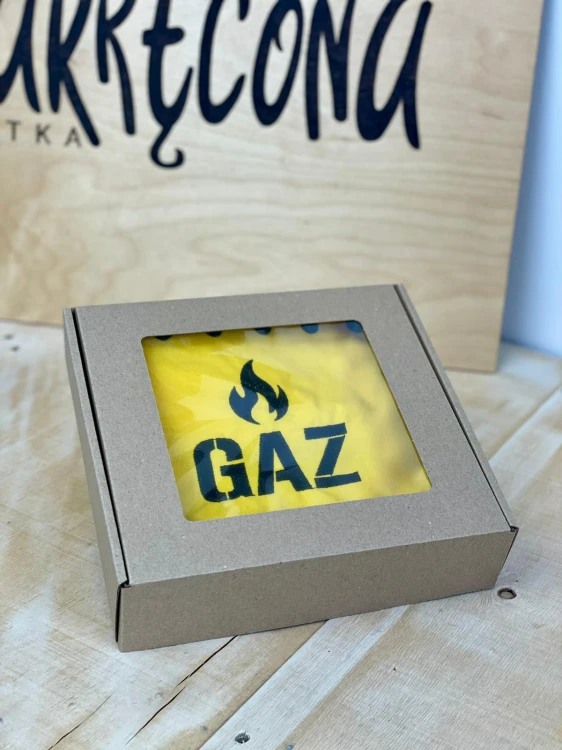 gaz 2.jpeg