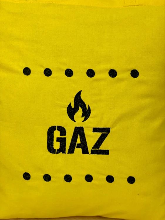 gaz 3.jpeg